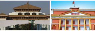 दलिय दाउपेचले प्रतिनिधिसभा र राष्ट्रियसभा उप-प्रमुख विहिन