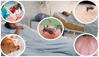 देशभर बढ्दै डेंगुका बिरामी, शेरबहादुर पुन भन्छन्– ३/४ महिनासम्म कमी आउँदैन