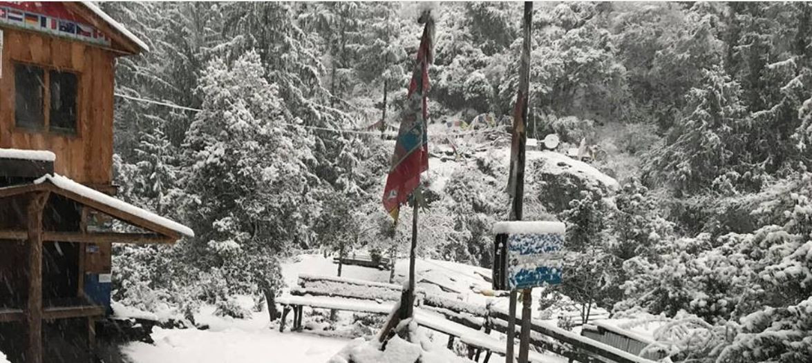सामागाउँ क्षेत्रमा हिमपात