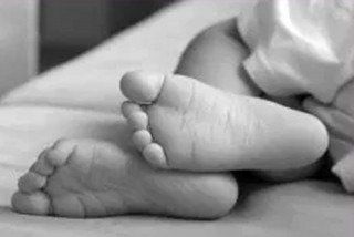 जाजरकोटमा ३ वर्षीया बालिकाको हत्या, १२ वर्षीय बालक नियन्त्रणमा