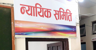 प्रभाव बढाउदैं न्यायिक समिति