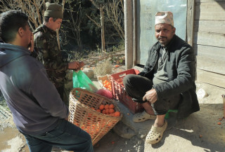 सुन्तला बिक्री गरेर बार्षिक ३ लाख भन्दा बढी आम्दानी