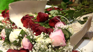 नेपालमा गुलाबको उत्पादन न्यून, भारतकै भर पर्नुपर्ने