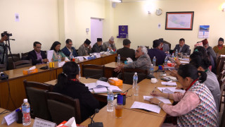 विश्वविद्यालयहरुमा नियुक्ति गर्दा अन्तर्राष्ट्रिय अभ्यासलाई हेर्न सुझाव