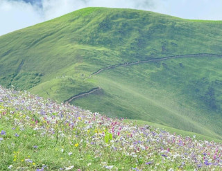 बागलुङको आकर्षक पर्यटकीय गन्तव्य चौरीखर्क